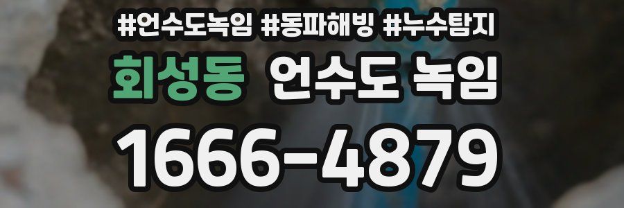 회성동 언수도 녹임