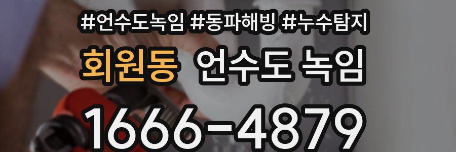 회원동 언수도 녹임