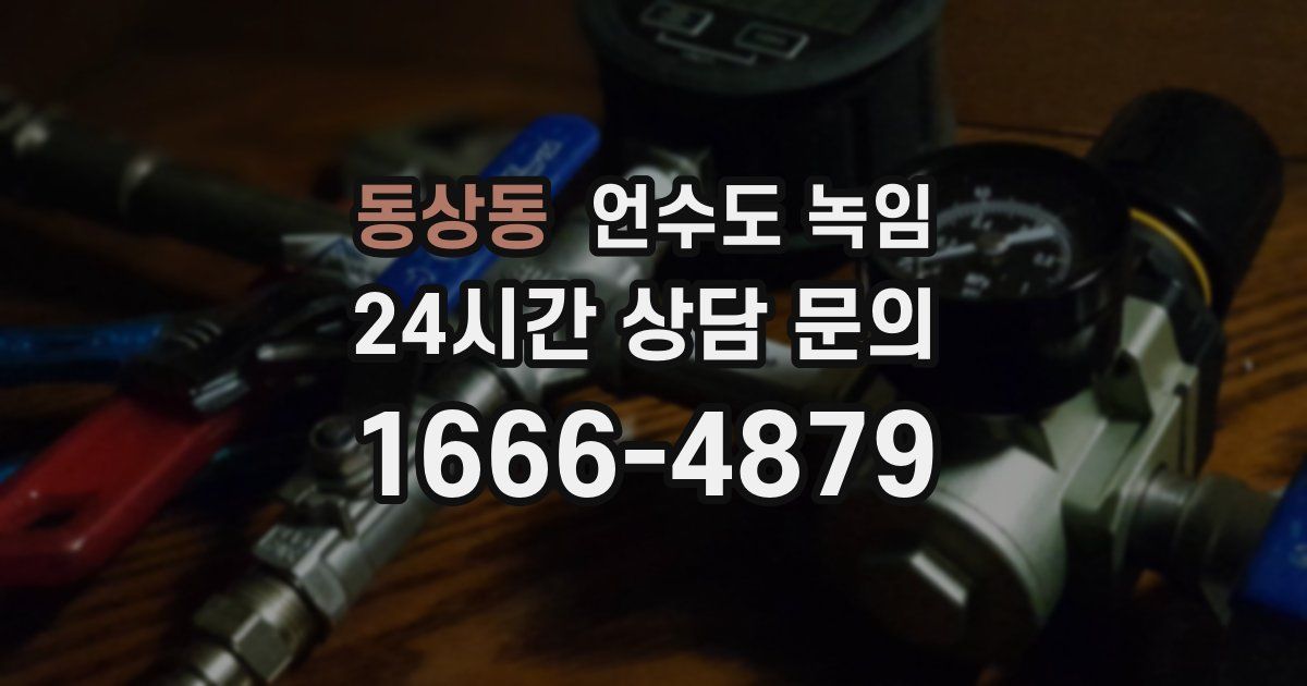 동상동 언수도 녹임