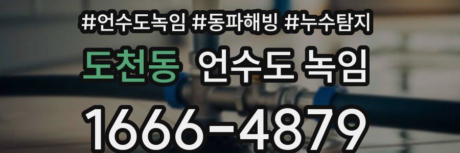 도천동 언수도 녹임