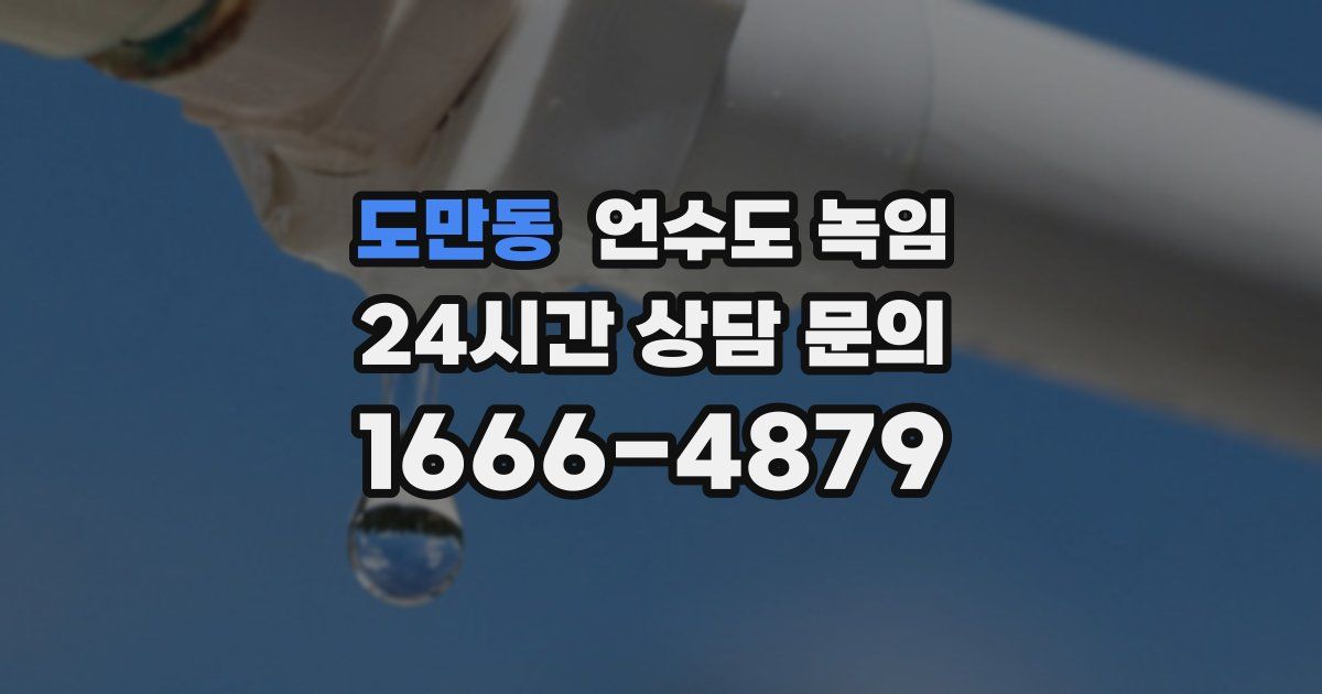 도만동 언수도 녹임