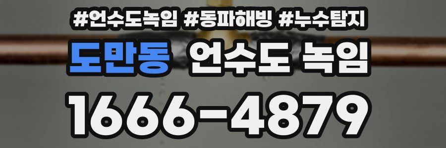 도만동 언수도 녹임