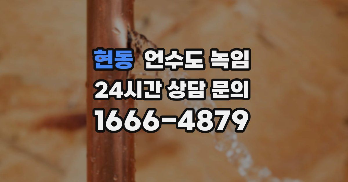 현동 언수도 녹임