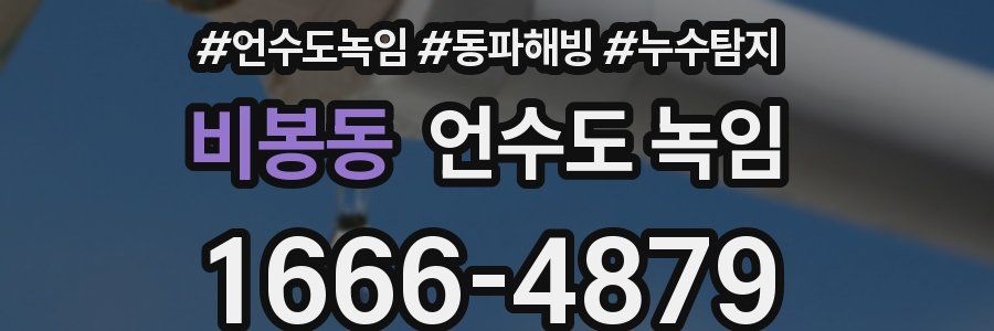 비봉동 언수도 녹임