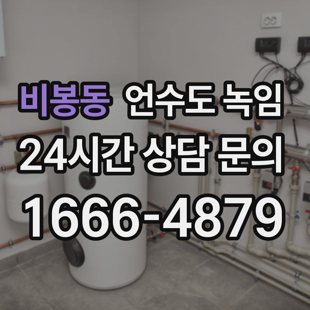 비봉동 언수도 녹임