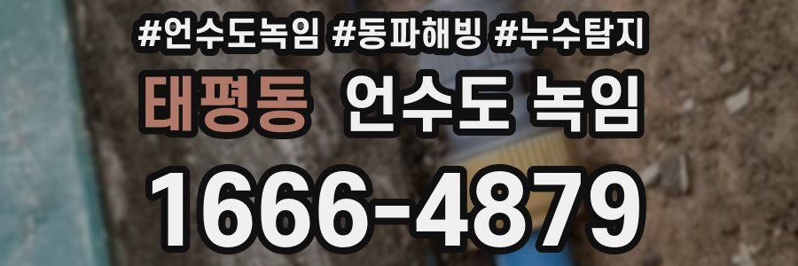 태평동 언수도 녹임