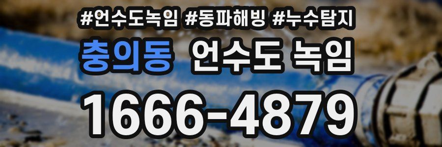 충의동 언수도 녹임