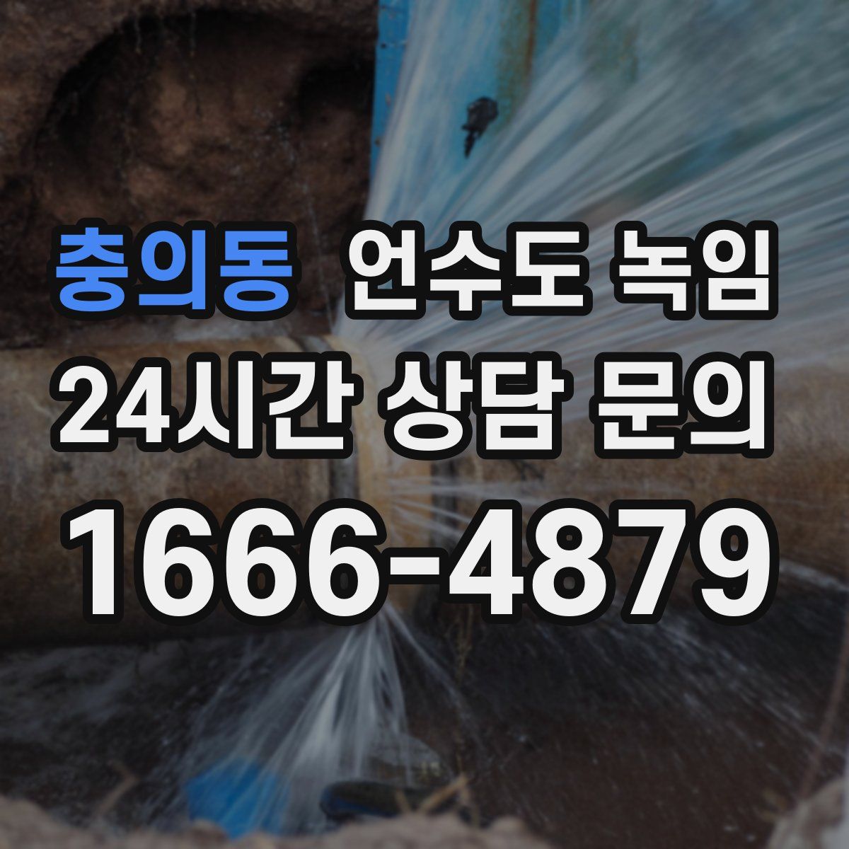 충의동 언수도 녹임