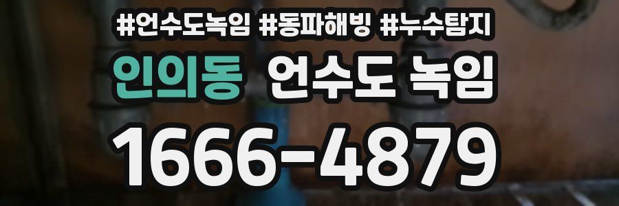 인의동 언수도 녹임