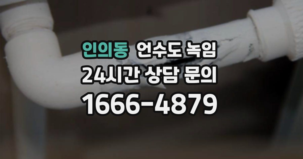 인의동 언수도 녹임