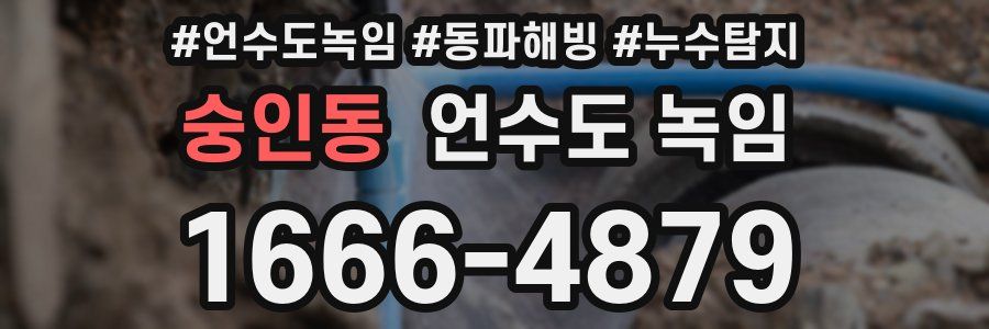 숭인동 언수도 녹임