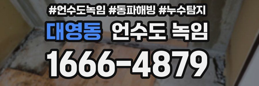 대영동 언수도 녹임