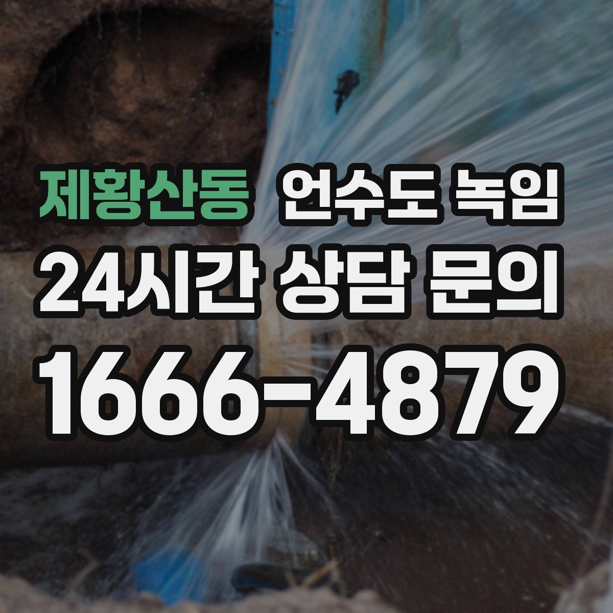 제황산동 언수도 녹임