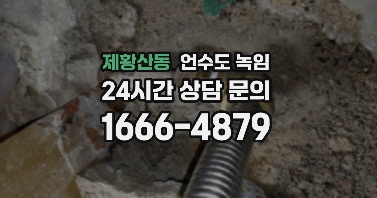 제황산동 언수도 녹임