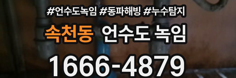 속천동 언수도 녹임