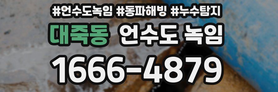 대죽동 언수도 녹임