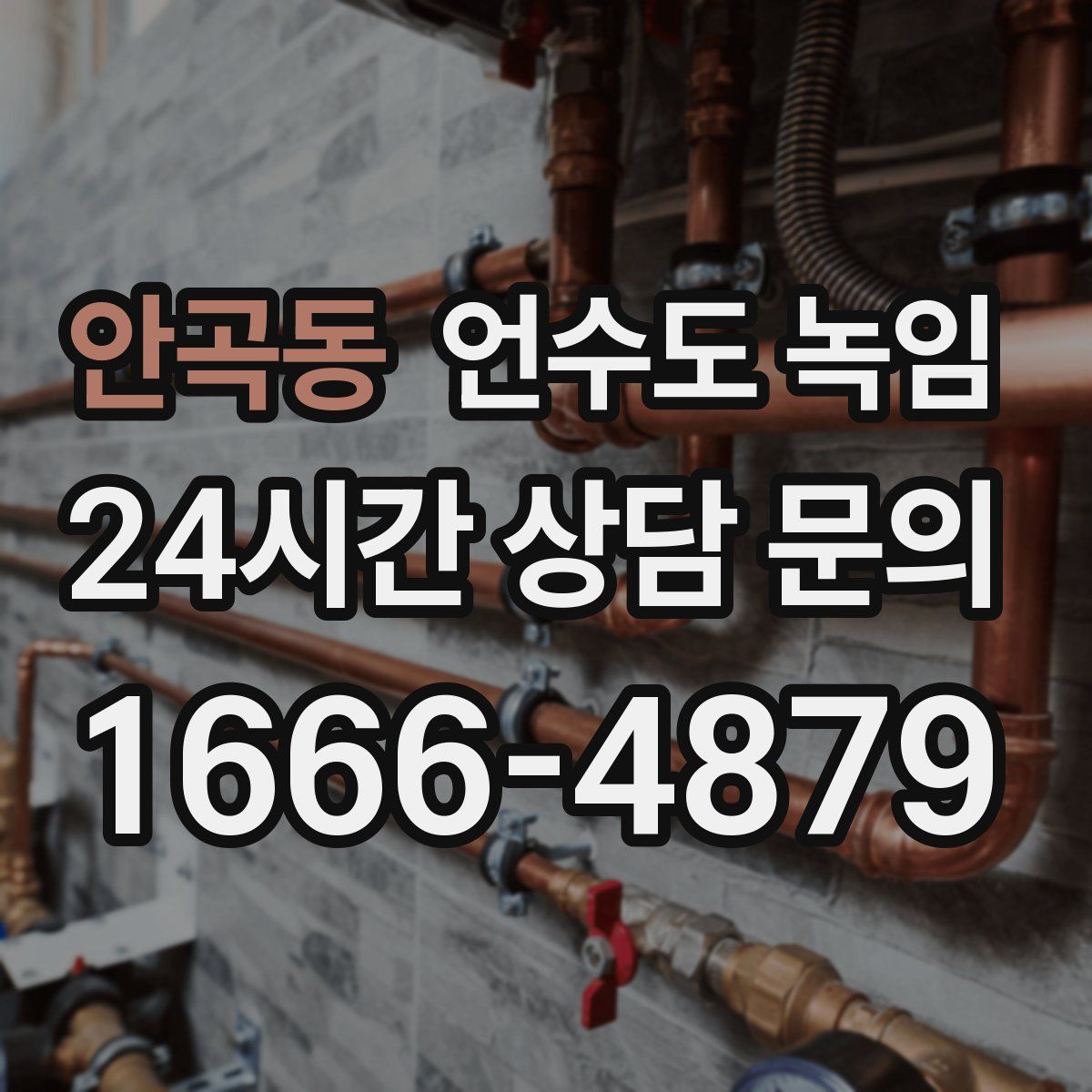 안곡동 언수도 녹임