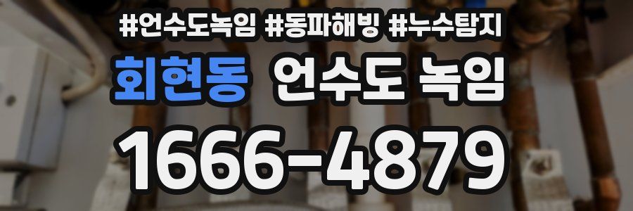 회현동 언수도 녹임