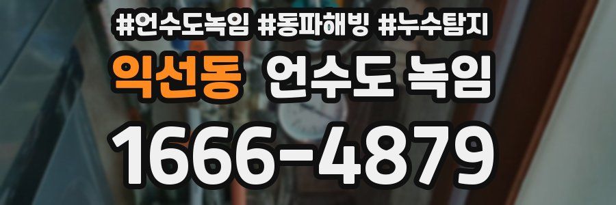 익선동 언수도 녹임