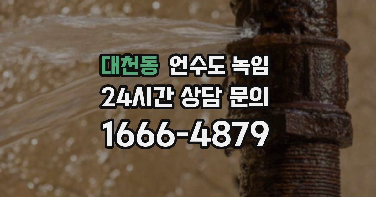 대천동 언수도 녹임