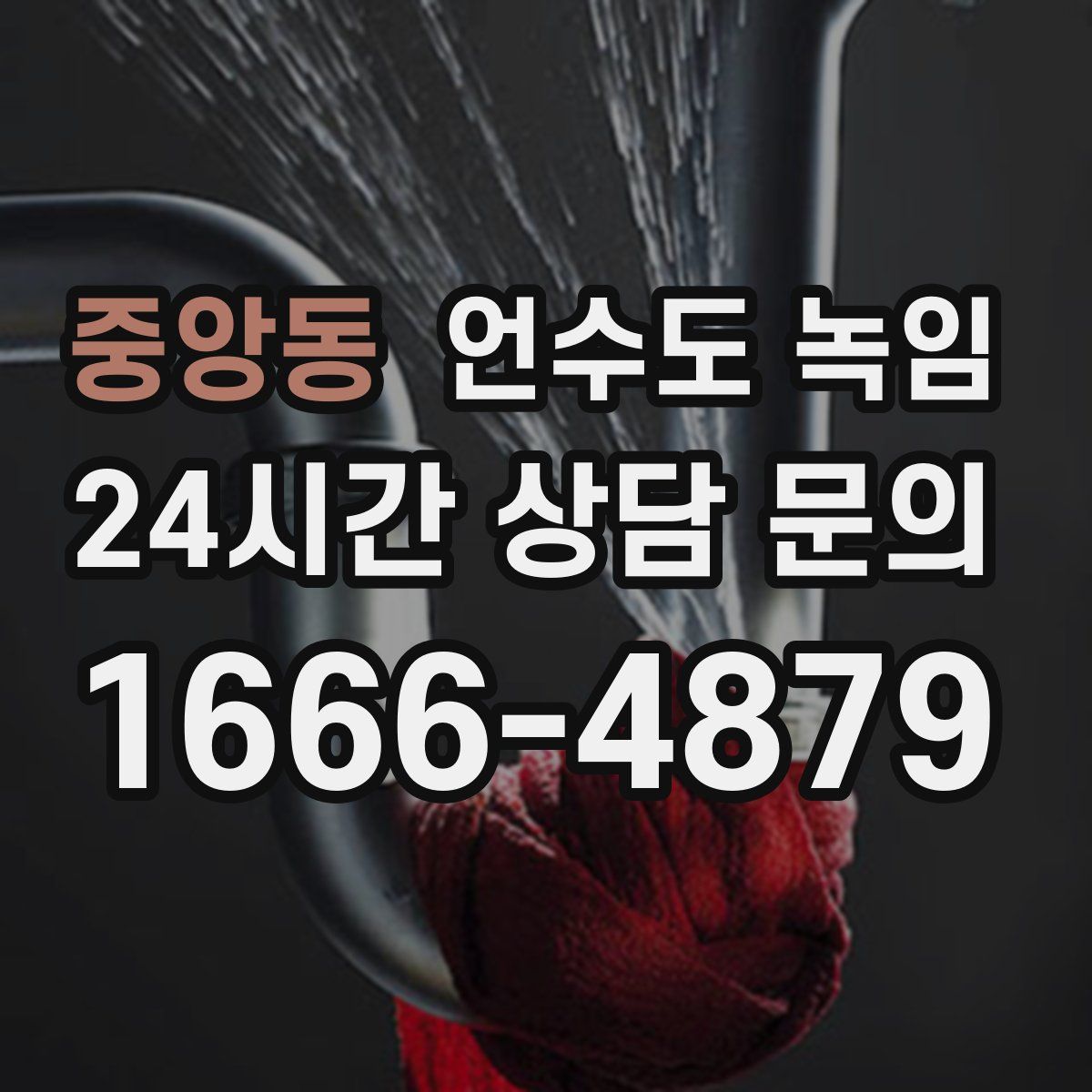 중앙동 언수도 녹임