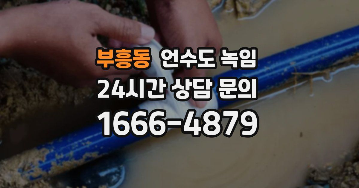 부흥동 언수도 녹임
