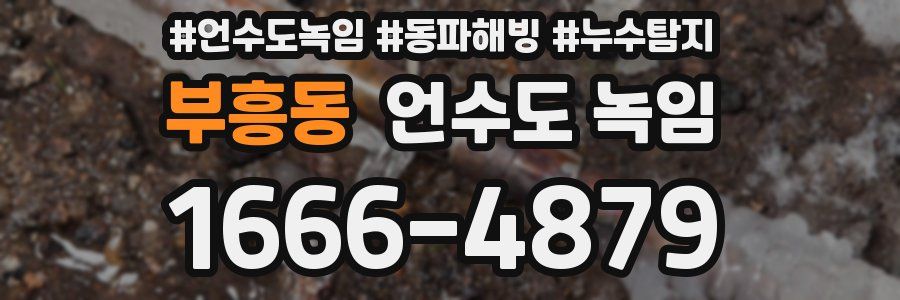 부흥동 언수도 녹임