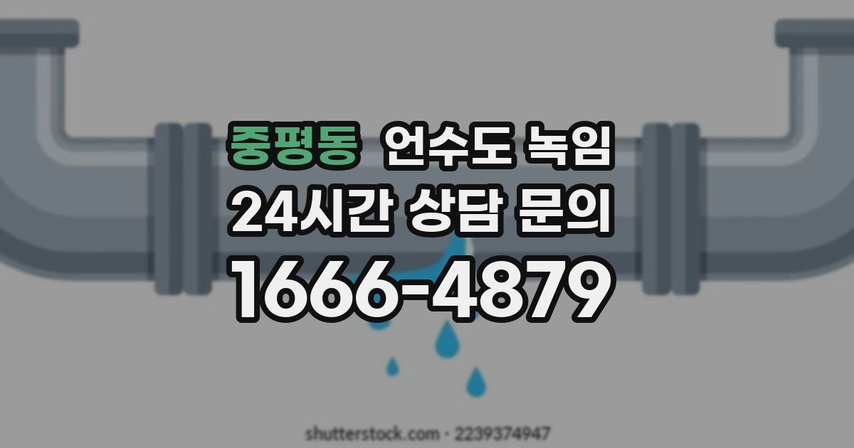 중평동 언수도 녹임