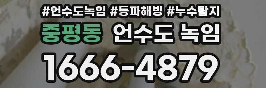 중평동 언수도 녹임