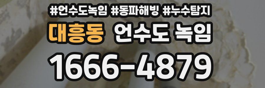 대흥동 언수도 녹임