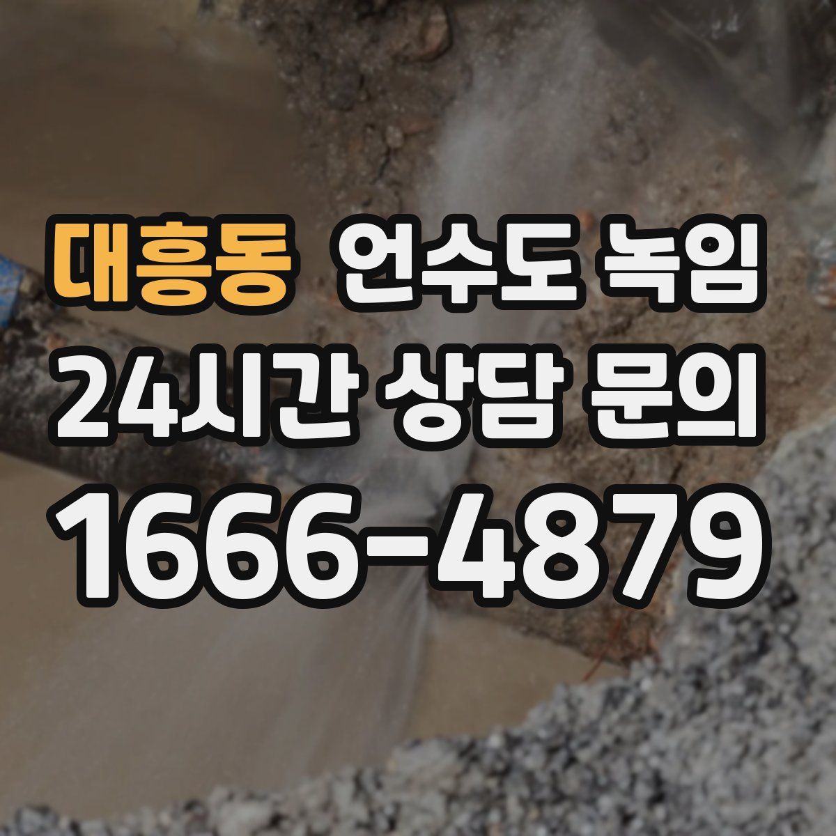 대흥동 언수도 녹임