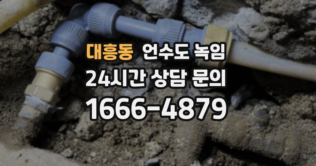 대흥동 언수도 녹임