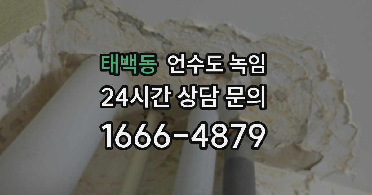 태백동 언수도 녹임