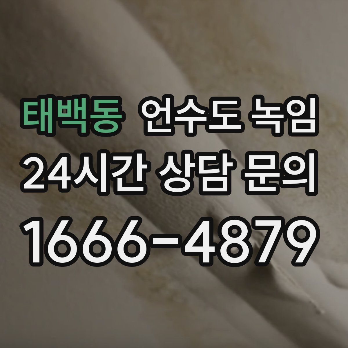 태백동 언수도 녹임