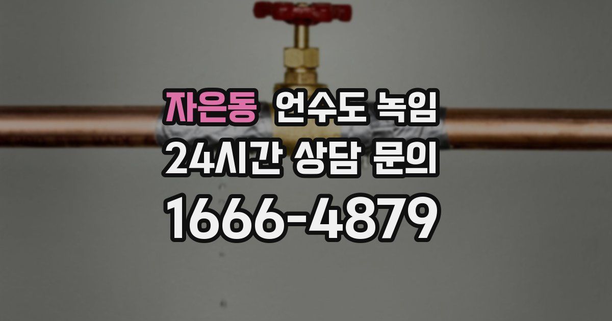 자은동 언수도 녹임