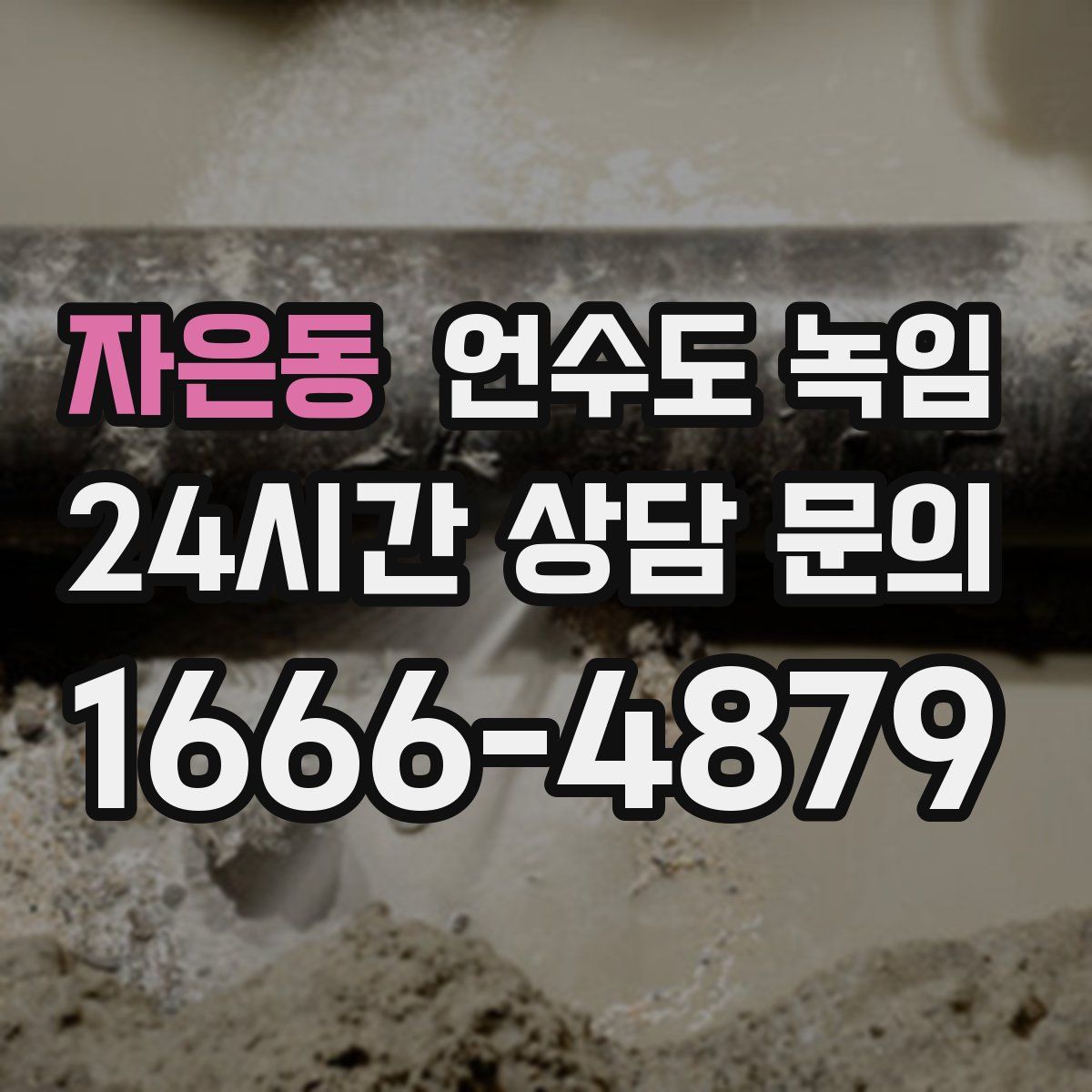 자은동 언수도 녹임