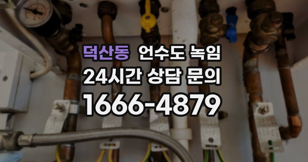 덕산동 언수도 녹임