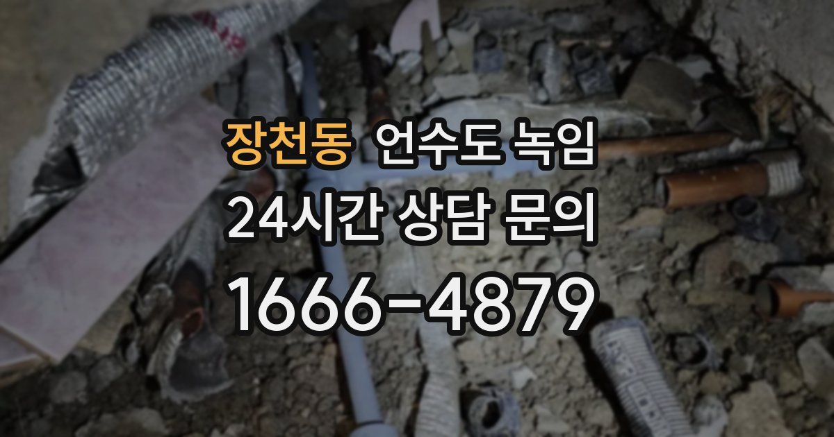 장천동 언수도 녹임