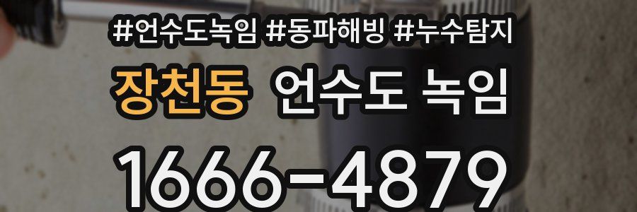 장천동 언수도 녹임