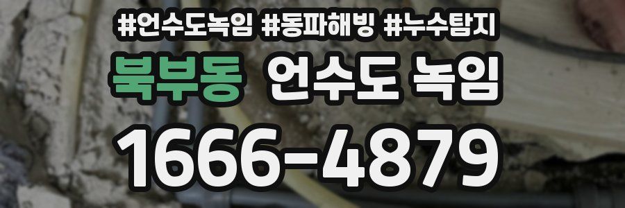 북부동 언수도 녹임