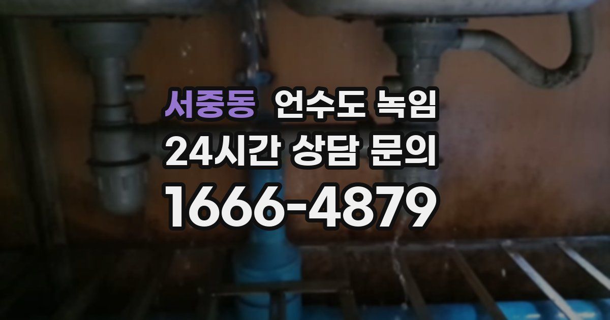 서중동 언수도 녹임