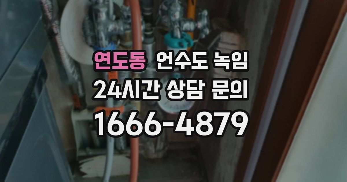 연도동 언수도 녹임