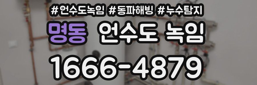 명동 언수도 녹임