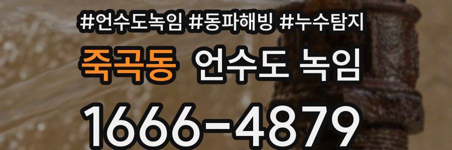 죽곡동 언수도 녹임