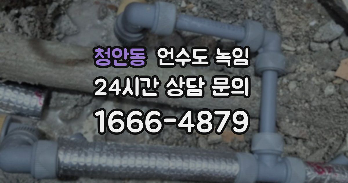 청안동 언수도 녹임