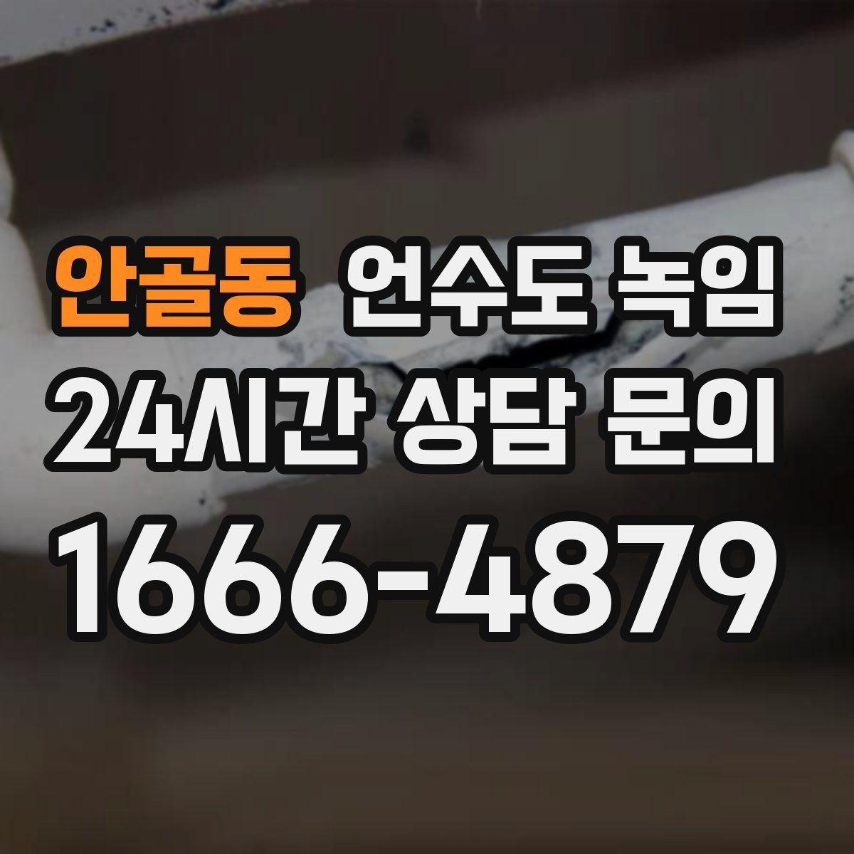 안골동 언수도 녹임