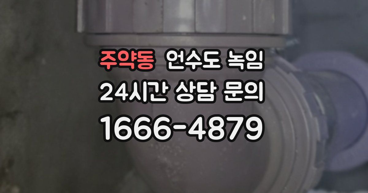 주약동 언수도 녹임