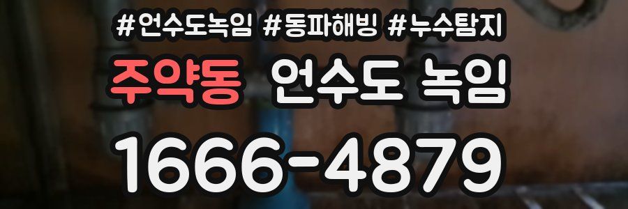 주약동 언수도 녹임