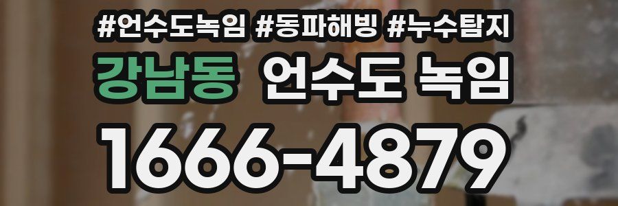 강남동 언수도 녹임