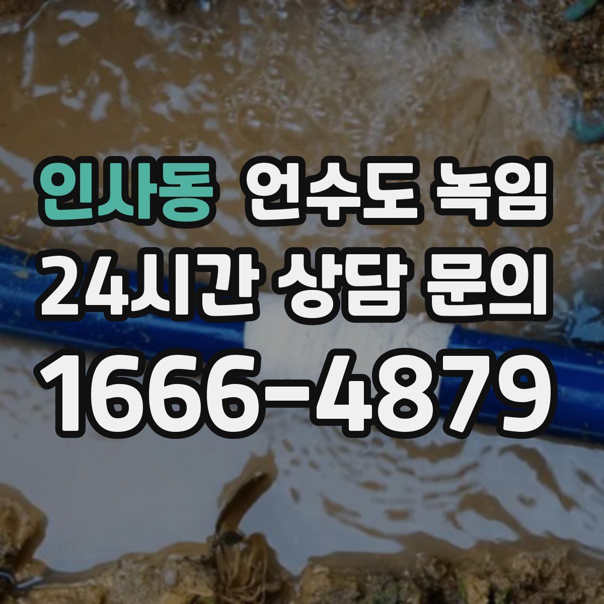 인사동 언수도 녹임